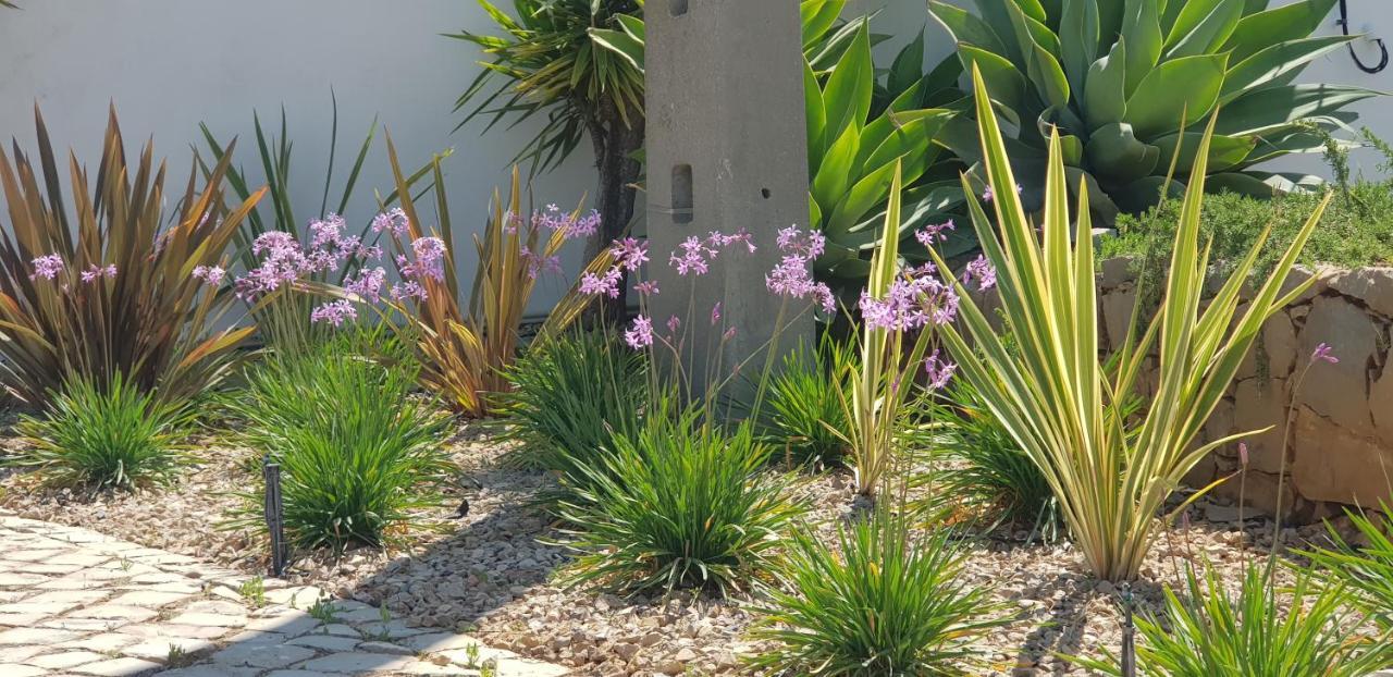 Villa Quinta Da Violeta Loulé Exteriör bild